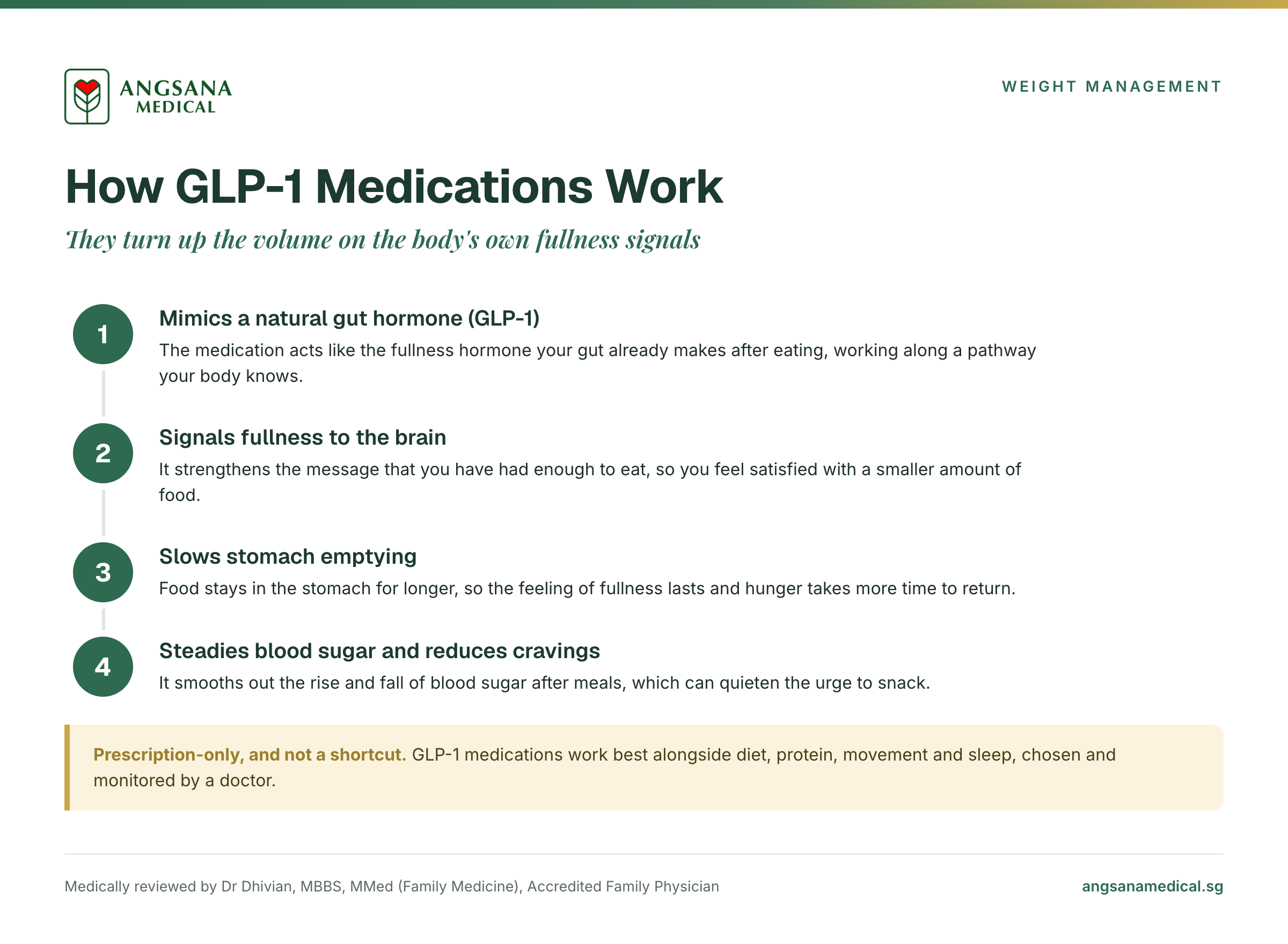 The four steps by which GLP-1 medications work: mimicking a natural gut hormone, signalling fullness to the brain, slowing stomach emptying, and steadying blood sugar to reduce cravings.
